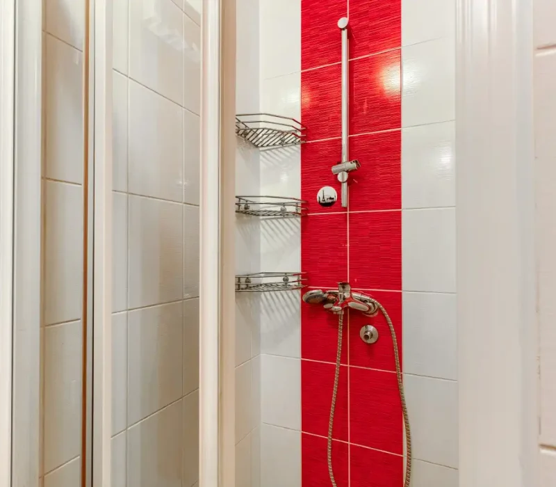 mali wc (2)